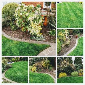 garden maintenance hasland